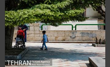 بوستان نیاوران در یک روز آفتابی 12