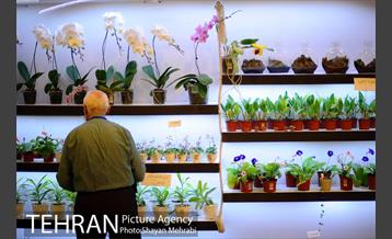 هشتمین نمایشگاه گل و گیاه تهران 10