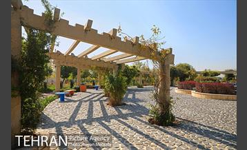 بوستان زندگی 26