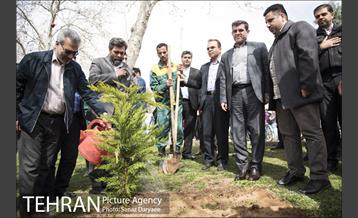 درختکاری و لانه گذاری کبوتر در بوستان بعثت 28