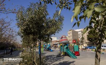 به وقت خدمت؛ باغ‌راه حضرت زهرا(س) محدوده امامزاده حسن (ع) 41