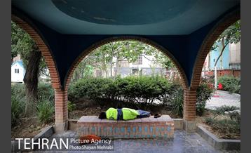 بوستان باغ حکیم 20