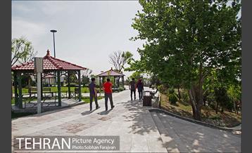 بوستان پرواز 12