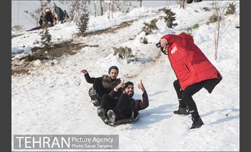 جشنواره مجسمه های برفی 7