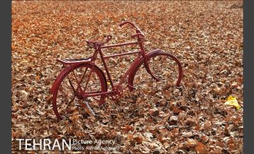 سومین رویداد هنری "پاییز برگ" در میدان مشق 41