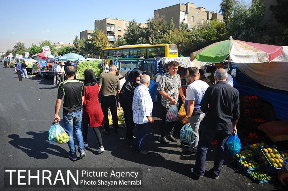 میوه فروشان خیابانی 15
