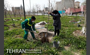 آیین درختکارى خبرنگاران در بوستان زندگى 10