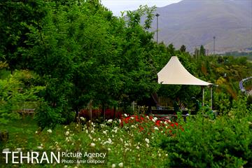 بوستان جوانمردان ایران‎ 9