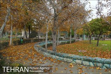پاییز در بوستان رازی 20