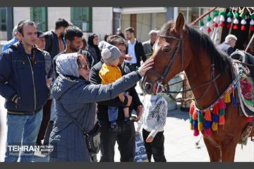غرفه‌های استقبال از بهار شهرداری تهران 6