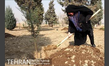 کاشت نهال در بوستان ولایت  8