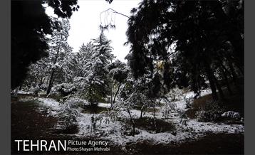 بارش برف پاییزی در بوستان طالقانی 23