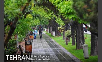 باران بهاری در تهران - 2 9