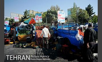 میوه فروشان خیابانی 5