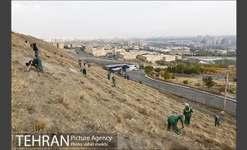 بازدید شهردار تهران از پروژه درختکاری کمربند سبز تهران  12