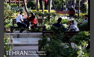 رویش گل های لاله در باغ ایرانی 30