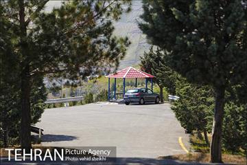 بوستان جنگلی کوهسار 12