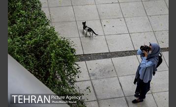 تور عکاسی منطقه گردشگری عباس آباد  4