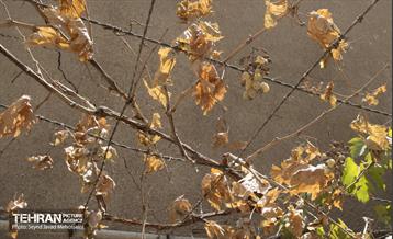 تور عکاسی آثار جنگ تحمیلی ۱۲ روزه شهر تهران 21