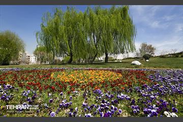 و اینک بهار 22