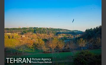 پاییز پل طبیعت 12