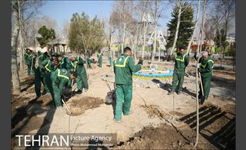غرس نهال در بوستان بهاران 1