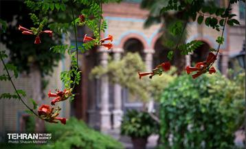 خانه مقدم 64