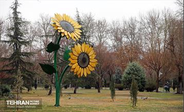 بارش باران زمستانی در تهران 11