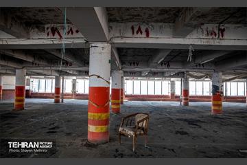 جای خالی پروانه ها 13