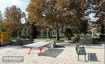 اینجا کارگاهه؛ منطقه یازده 19