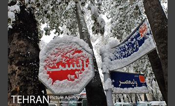 بارش اولین برف پاییزی در تهران 21