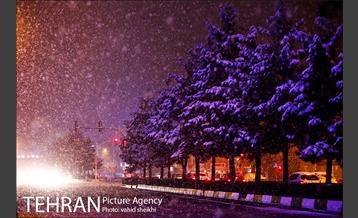 بارش برف در تهران  8
