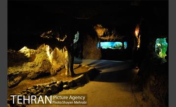 موزه حیات وحش هفت چنار 49