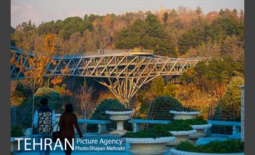 پاییز پل طبیعت 27