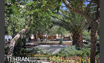 گذر پیاده راه استاد شهریار 16