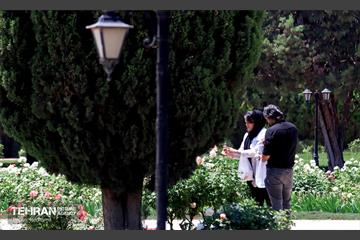 طبیعت بهاری در باغ ملی گیاهشناسی ایران 25