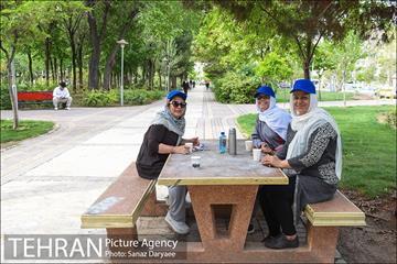 بوستان پلیس 29