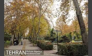 بوستان اندیشه(شهید منفرد نیاکی) 8