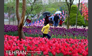 جشنواره لاله‌ها در بوستان زندگی محله هرندی 3