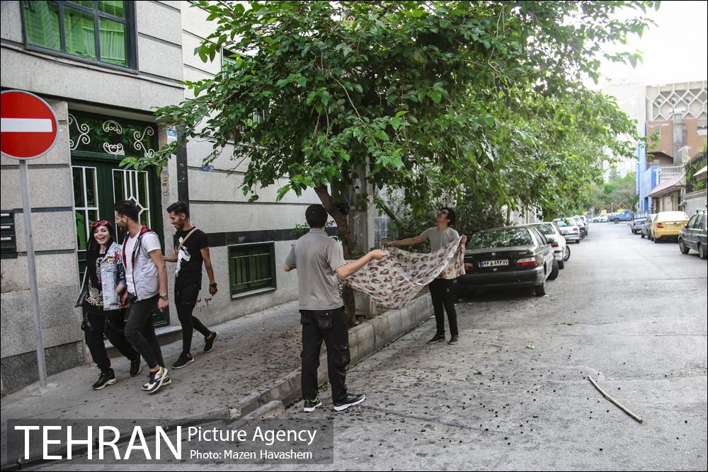 شهرنگار؛ منیریه 24