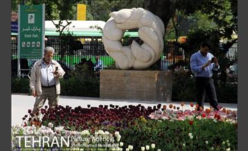 لاله های بهاری پارک شهر 13