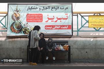 تره‌بار یلدایی 6