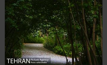 باغ گیاه شناسی ملی ایران  37