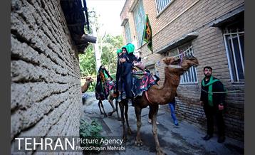 حرکت نمادین کاروان اُسرای کربلا در ده ونک 29