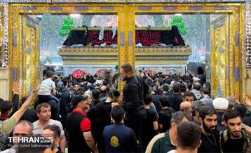 حرم مطهر امام علی (ع) در آستانه اربعین حسینی 8