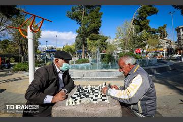 میدان نبوت در ایام نوروز 13