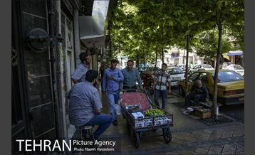 شهرنگار؛ خیابان منوچهری 15