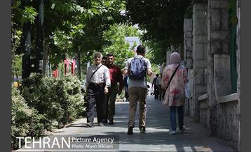 گشتی در خیابان ولیعصر(عج) 12