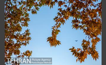 پاییز پارک شهر 42