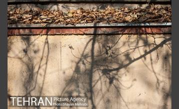 پاییز باغ ایرانی 14